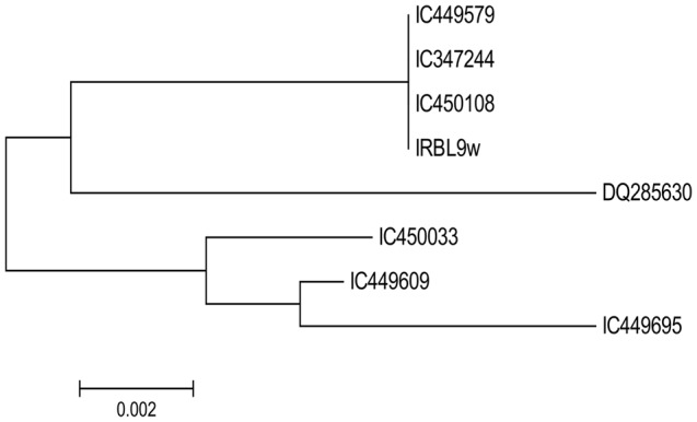 FIGURE 3