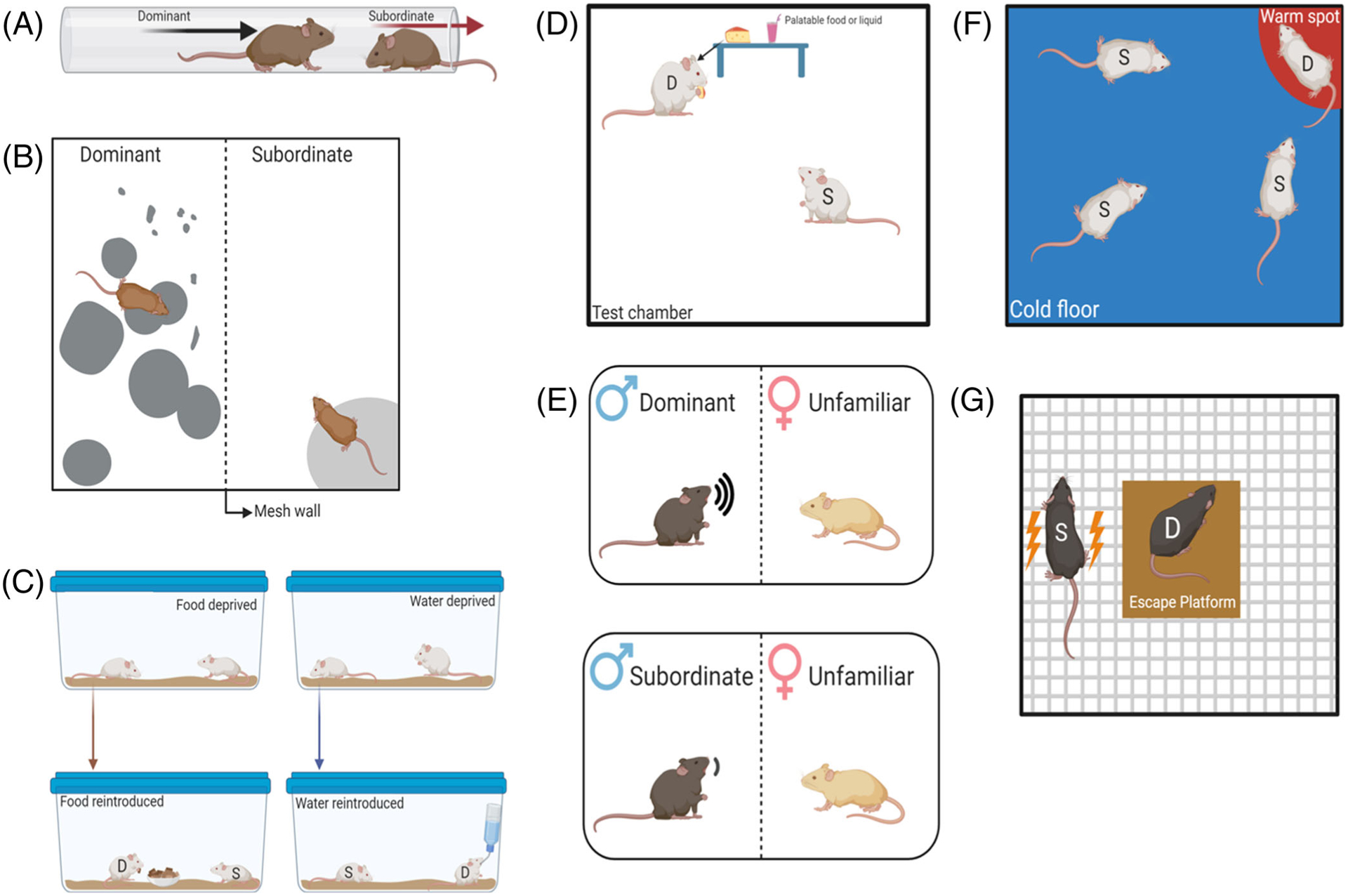 FIGURE 3