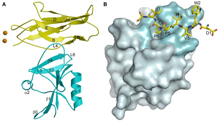 Figure 11