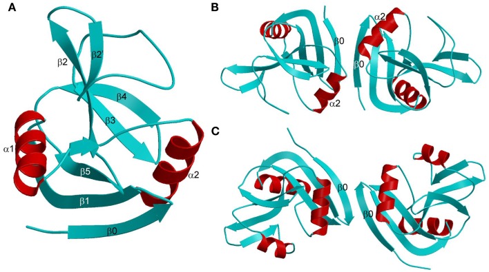 Figure 6