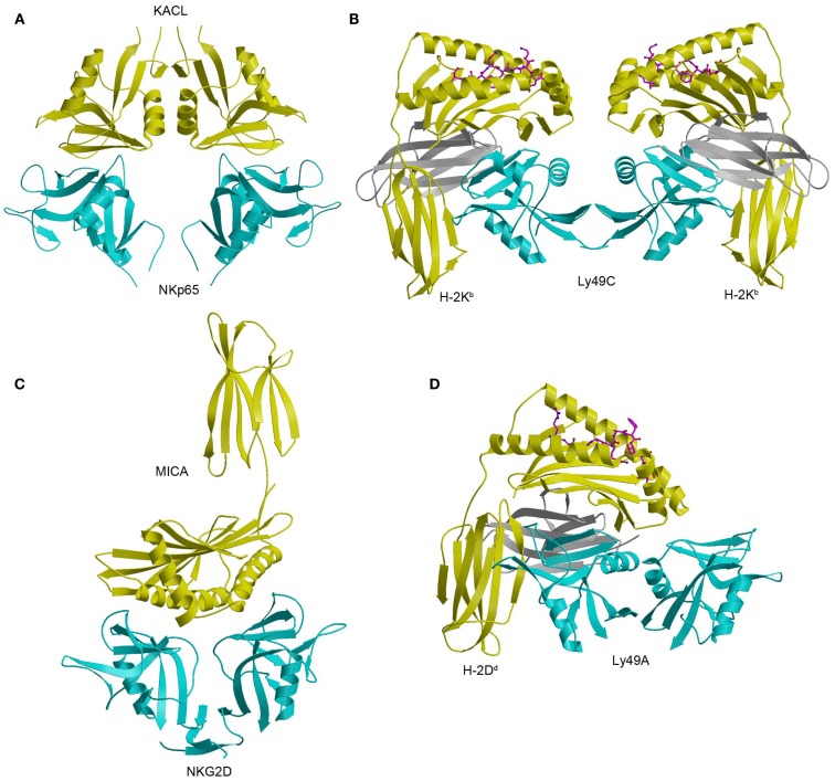 Figure 12