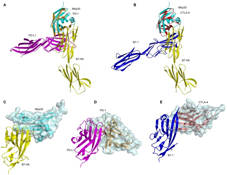 Figure 5