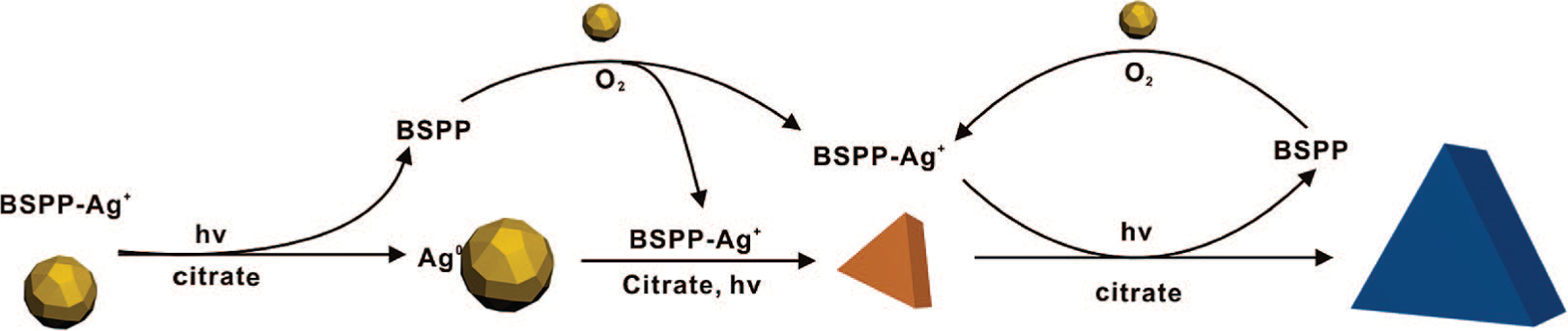 Scheme 3.