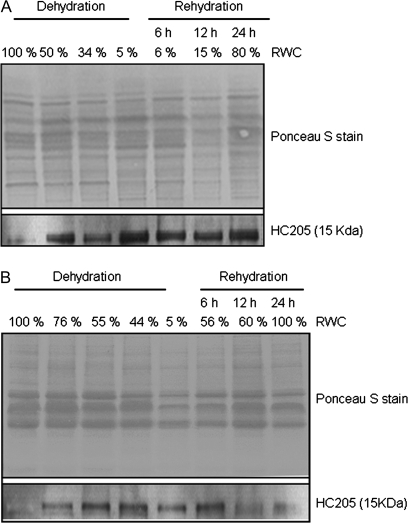 Fig. 9.