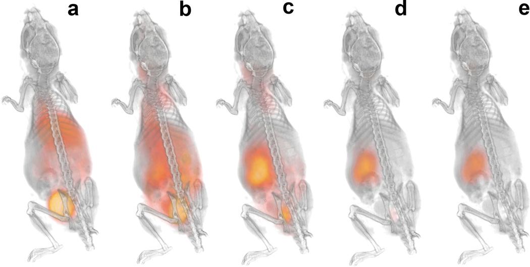 Fig. 5