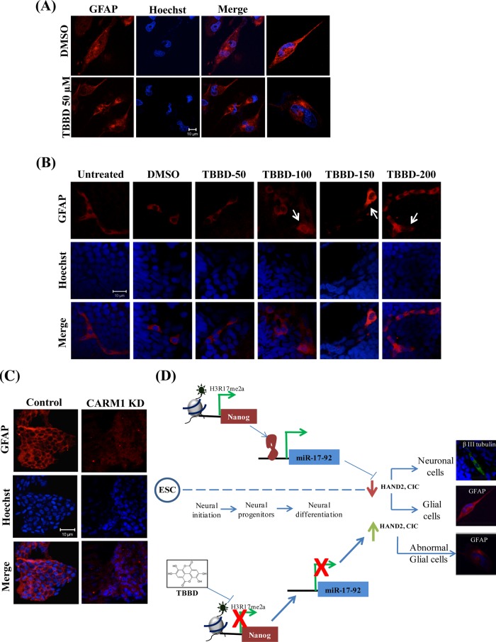 FIGURE 6: