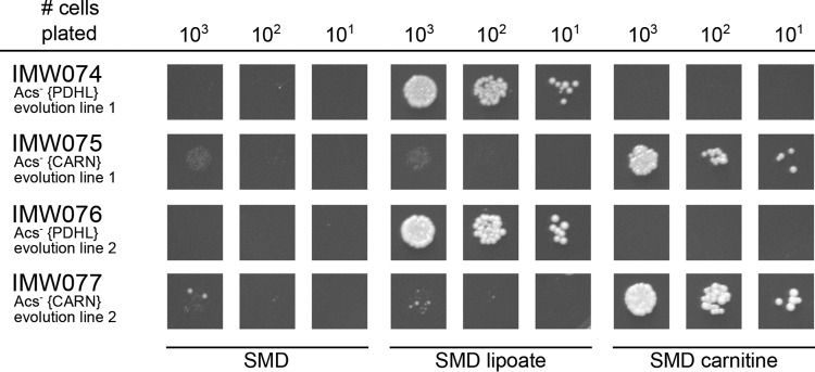 FIG 4 