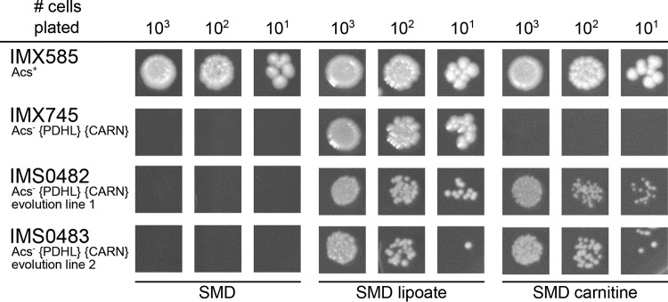 FIG 3 