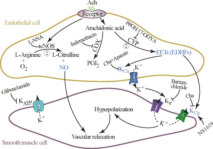 Fig 6