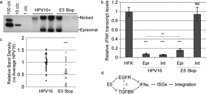 FIG 12