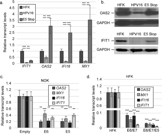 FIG 4