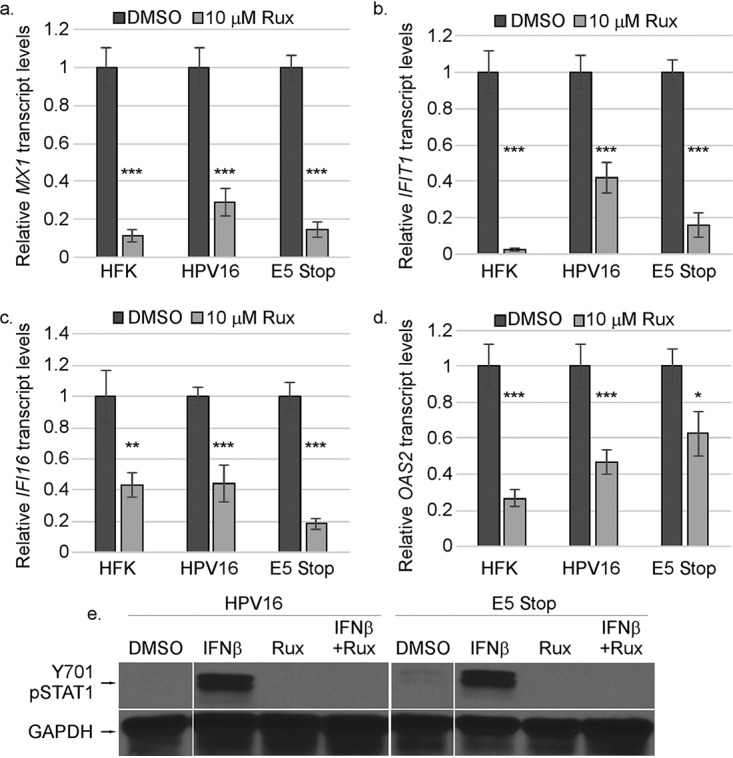 FIG 6