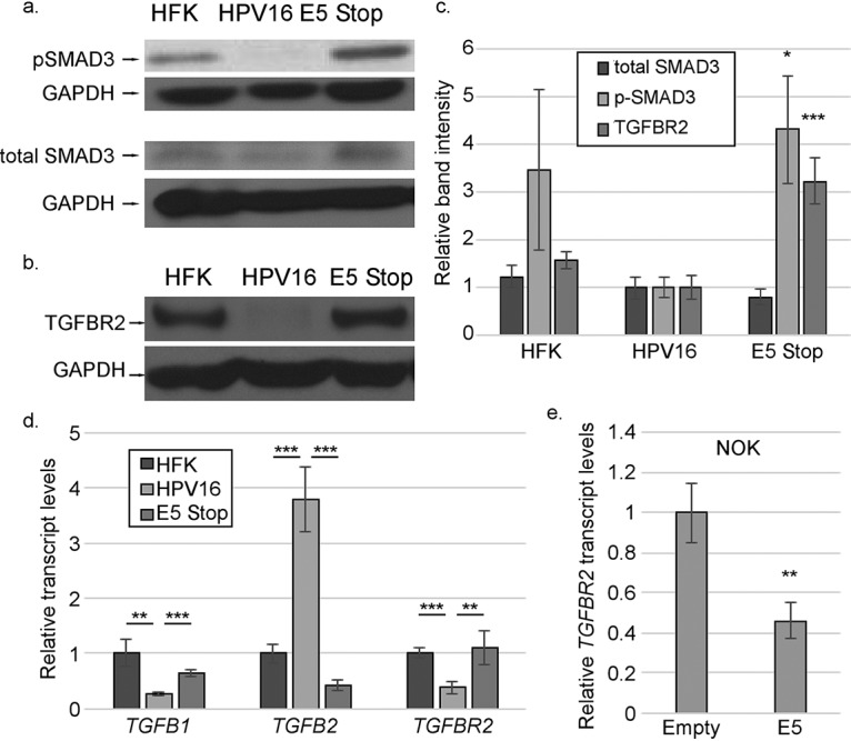 FIG 10