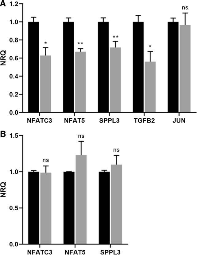 Fig. 3