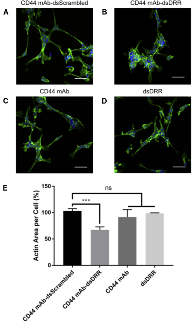 Figure 7