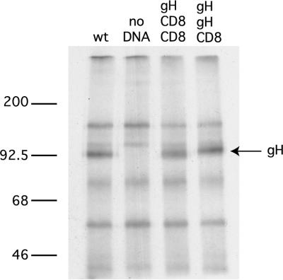 FIG. 5.