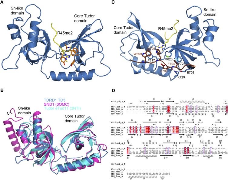 FIGURE 2.