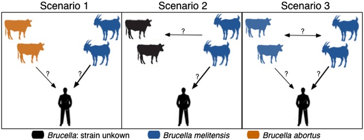 Fig. 1.