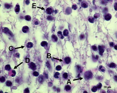 Fig. 1