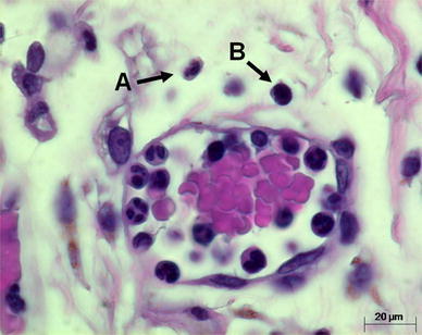 Fig. 3