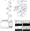 FIG 3