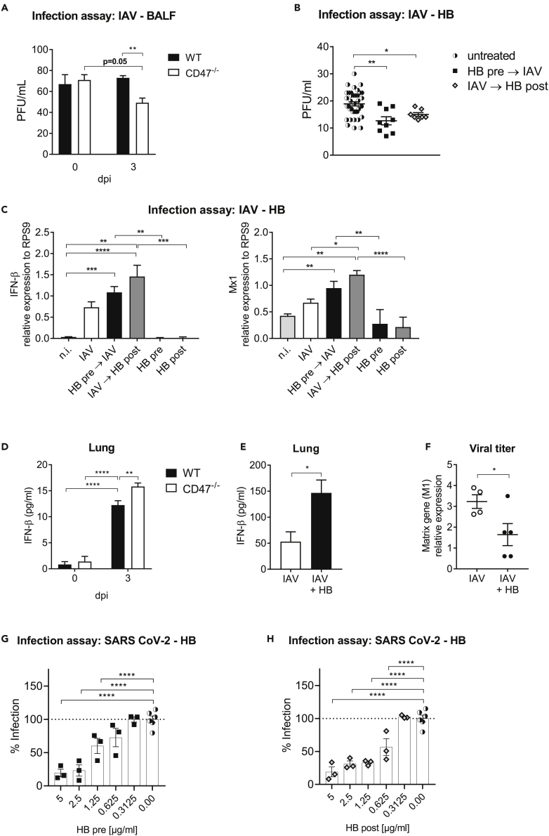 Figure 6