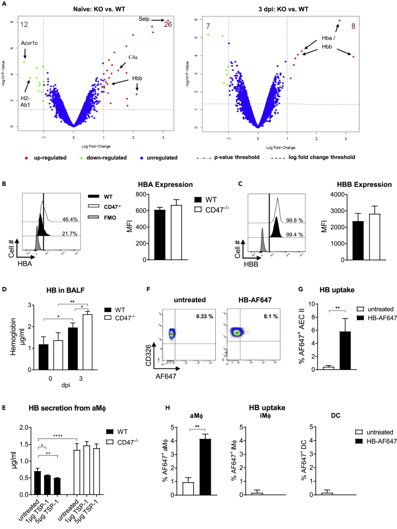 Figure 5