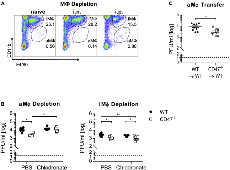 Figure 3