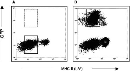 FIG. 1.