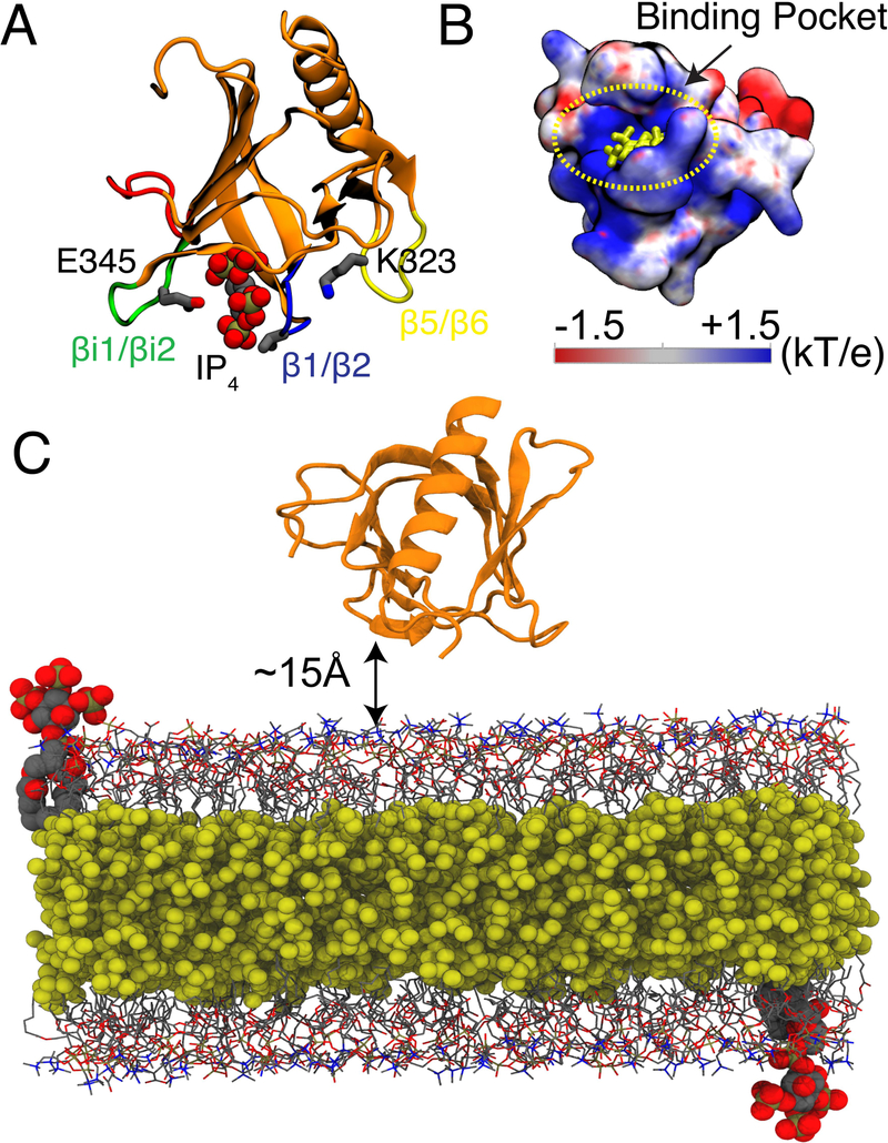 Figure 1: