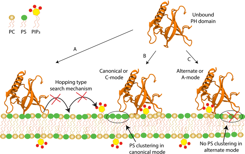 Figure 9: