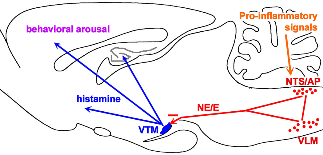 Fig. 11