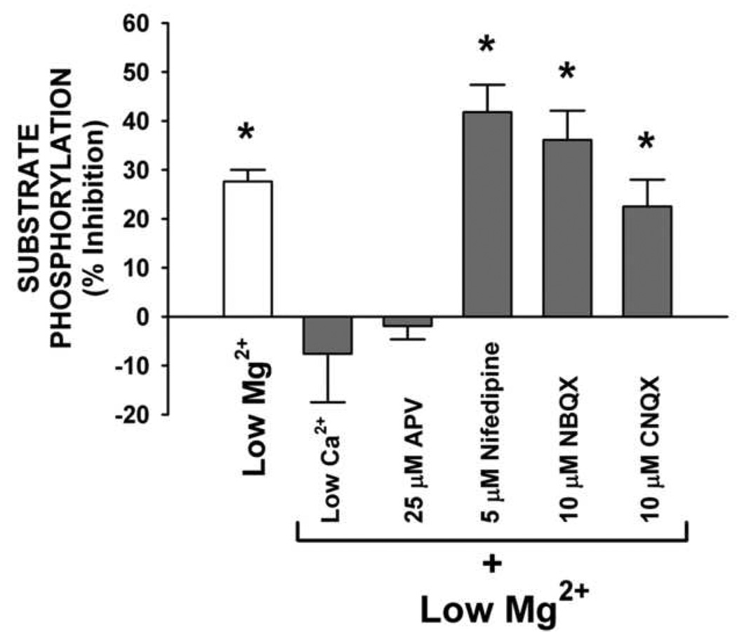 FIG. 6