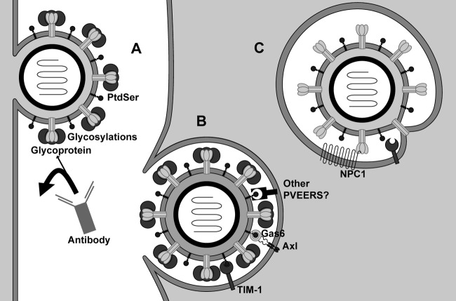 Fig 8