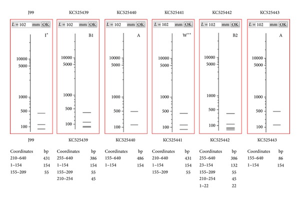 Figure 7