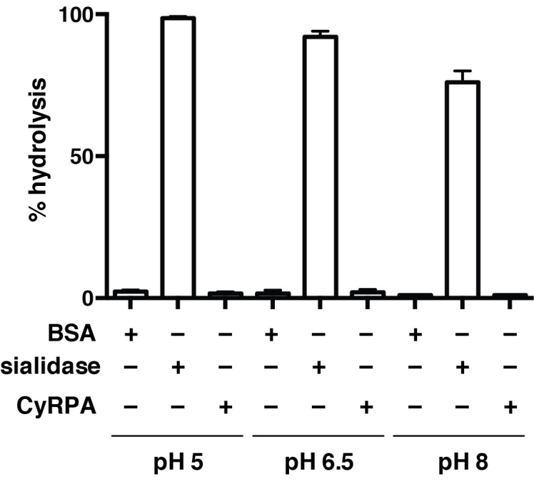 Figure 3—figure supplement 2.