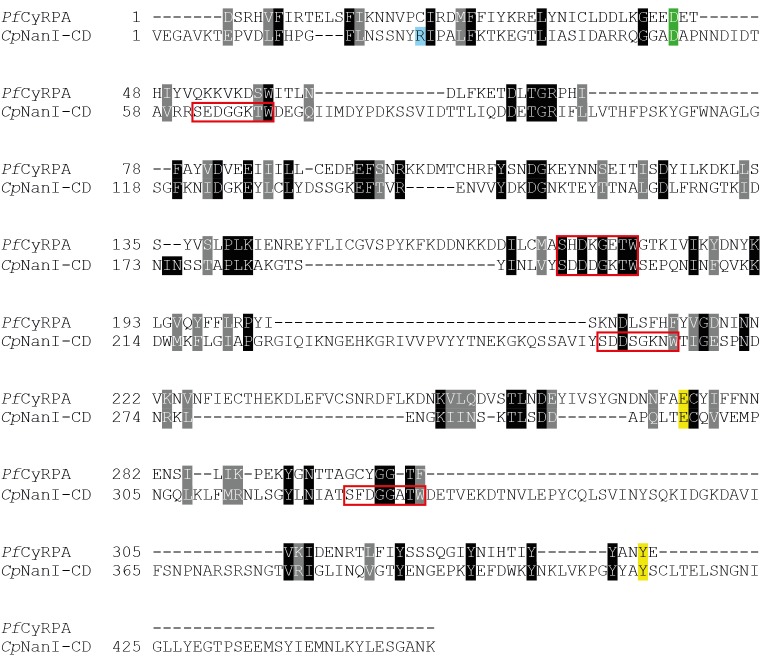 Figure 3—figure supplement 1.