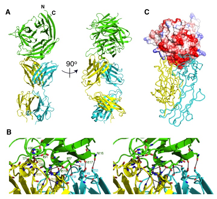 Figure 4.