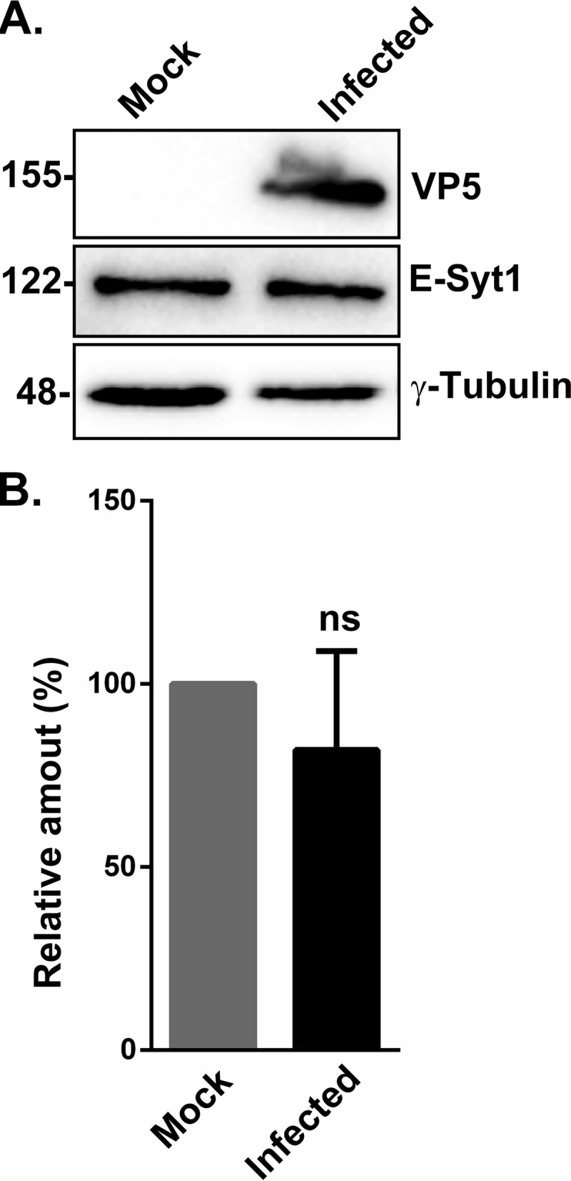 FIG 5