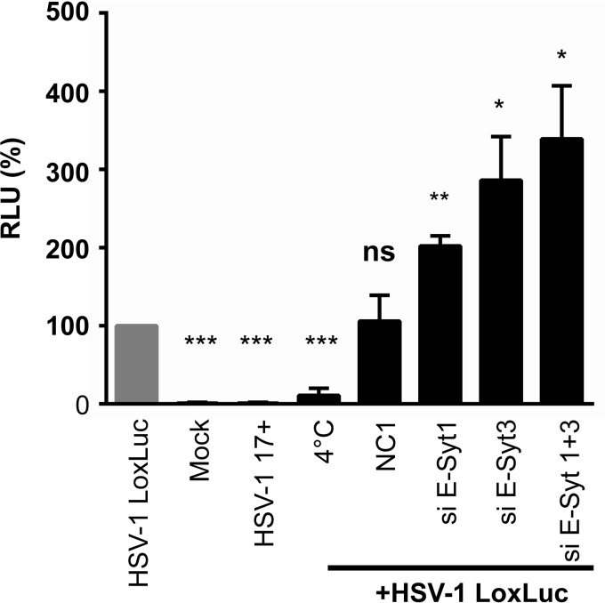 FIG 12