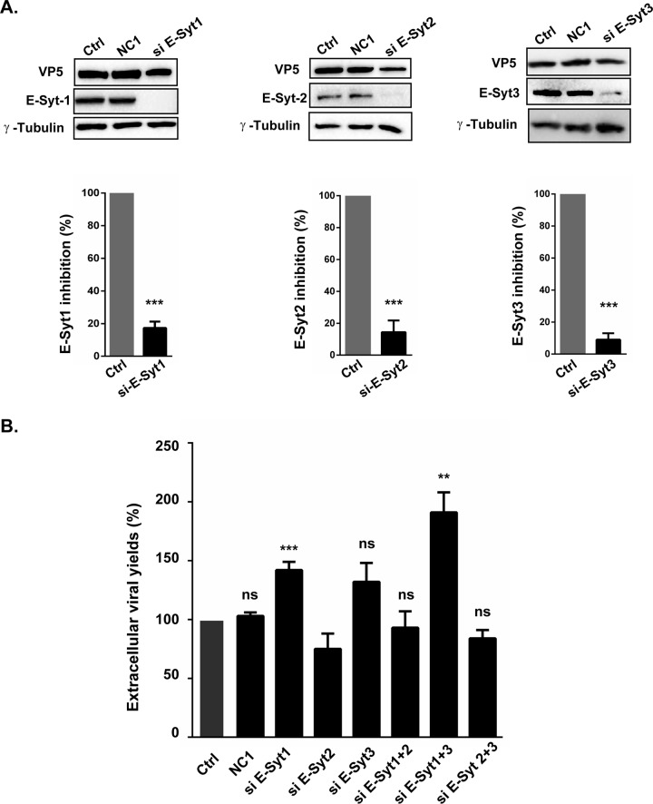 FIG 8