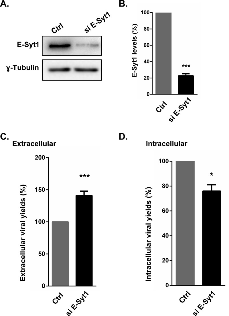 FIG 4