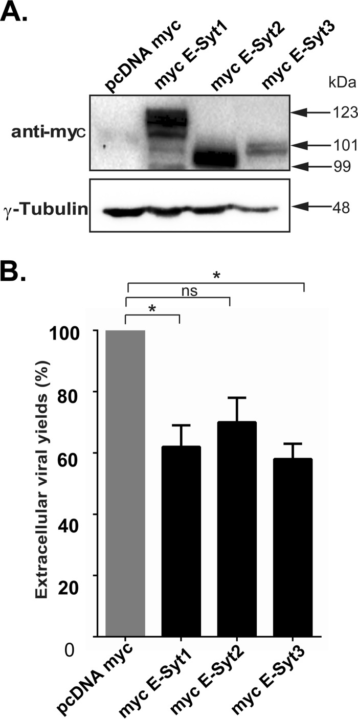 FIG 11