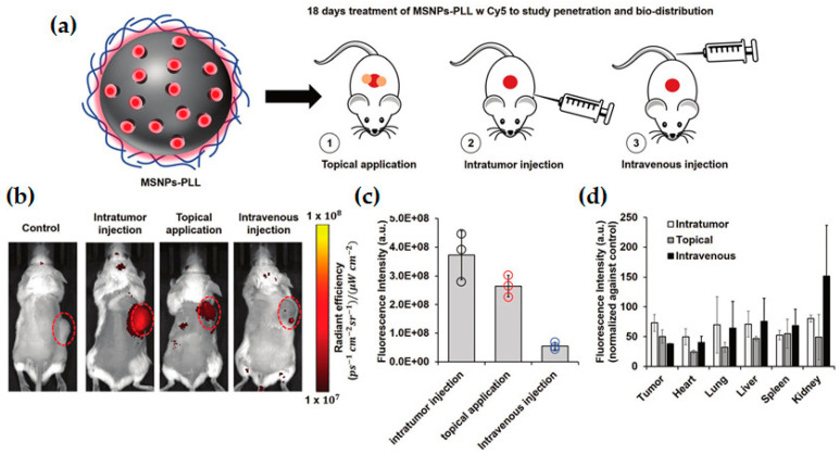 Figure 13