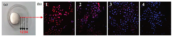 Figure 20