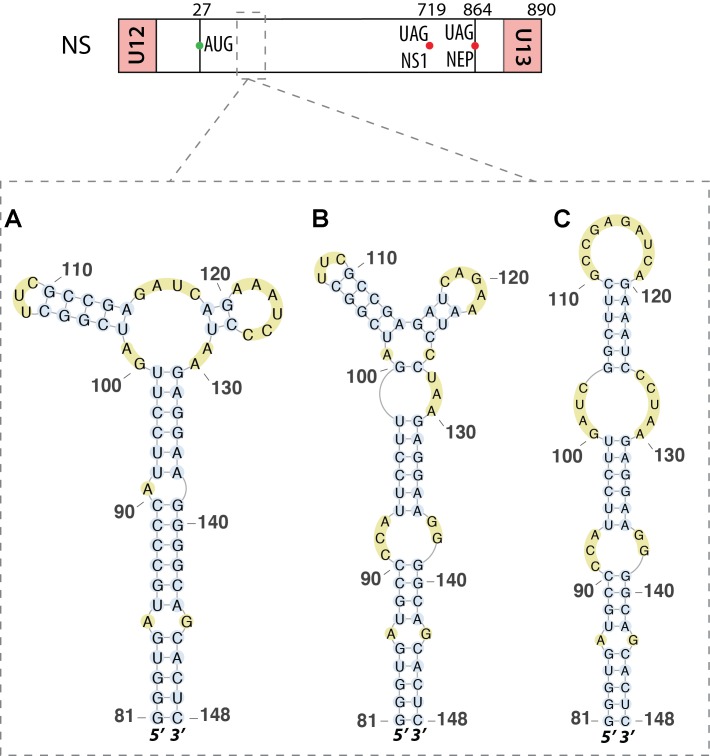 FIGURE 6