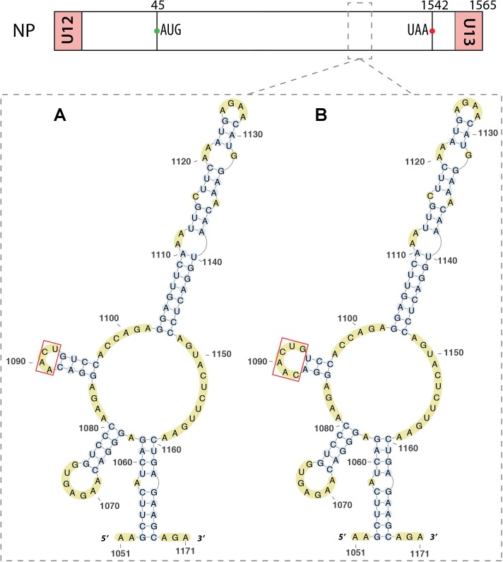 FIGURE 9