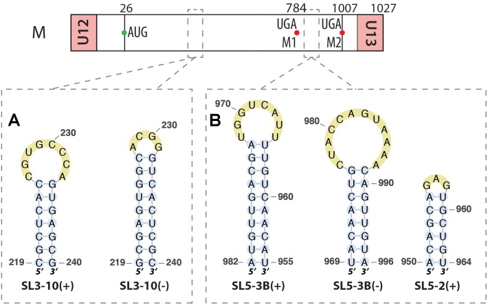 FIGURE 3