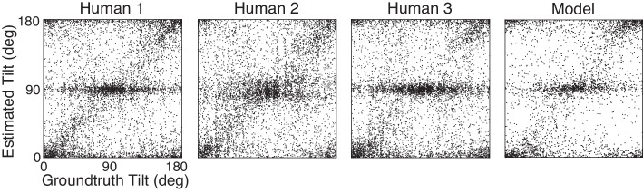 Figure 5—figure supplement 1.