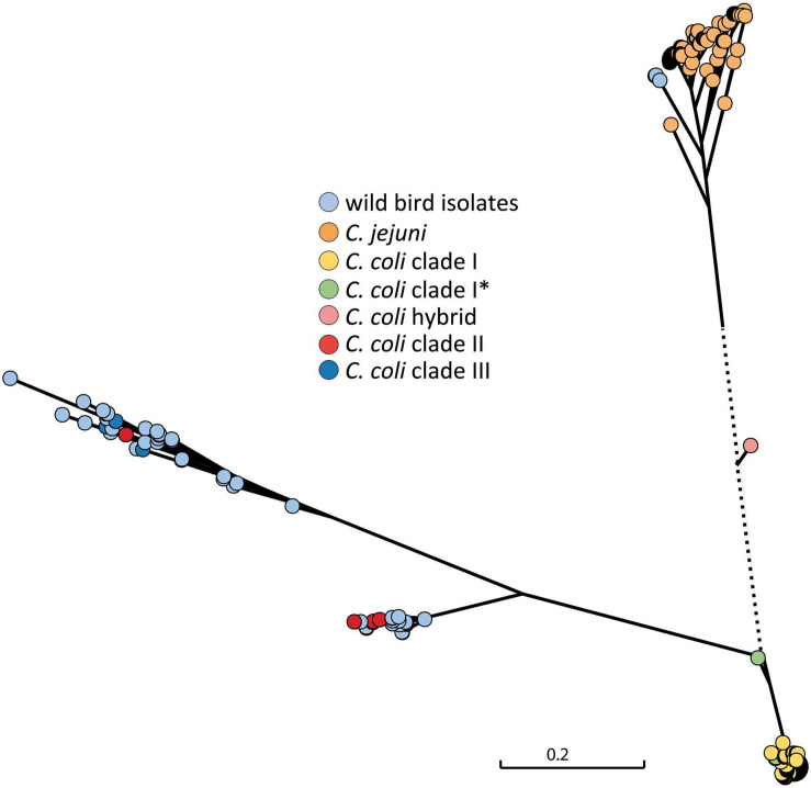 FIGURE 4